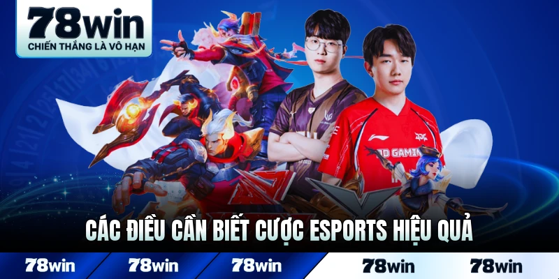 Các điều cần biết cược Esports hiệu quả